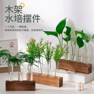 小花瓶哪裡買|花盆/器皿 